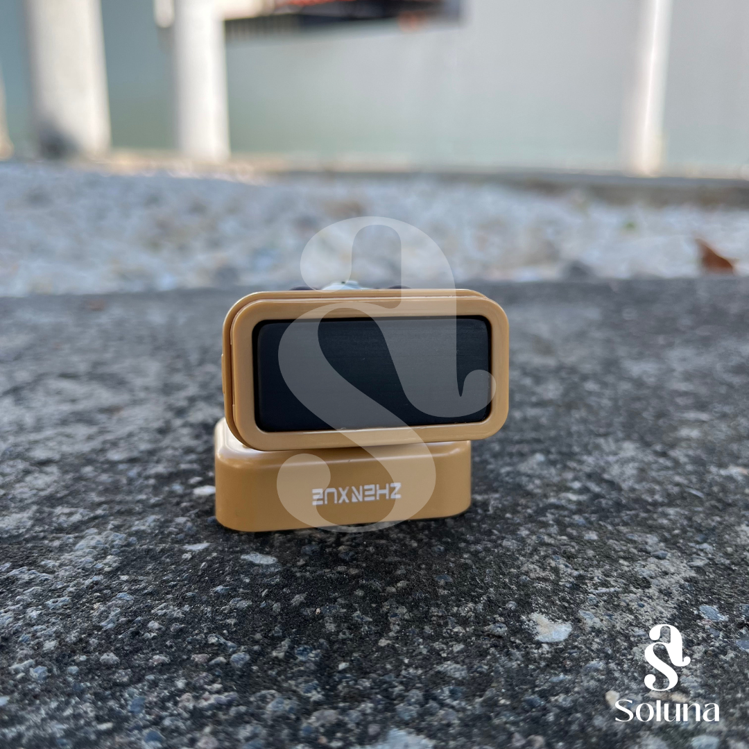 Sello Capibara kawaii